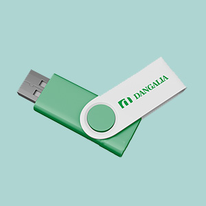 USB laikmenos su logotipu